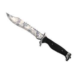 free csgo skin ★ StatTrak™ Bowie Knife | Stained (Factory New)
