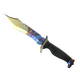 ★ Bowie Knife | Case Hardened (Field-Tested)