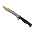 ★ StatTrak™ Bowie Knife | Case Hardened (Well-Worn)
