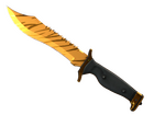 ★ Bowie Knife | Tiger Tooth