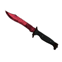 ★ StatTrak™ Bowie Knife | Doppler Ruby (Factory New)