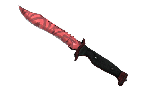 ★ StatTrak™ Bowie Knife | Slaughter (Field-Tested) Prices