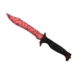 free csgo skin ★ StatTrak™ Bowie Knife | Slaughter (Factory New)