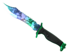 ★ Bowie Knife | Gamma Doppler Phase 1