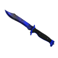 ★ StatTrak™ Bowie Knife | Doppler Phase 4 (Factory New)