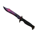★ Bowie Knife | Doppler Phase 2 (Factory New)