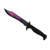 ★ Bowie Knife | Doppler Phase 2 (Factory New)