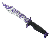 ★ Bowie Knife | Freehand (Minimal Wear)