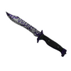 ★ Bowie Knife | Freehand <br>(Well-Worn)