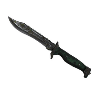 ★ Bowie Knife | Boreal Forest (Battle-Scarred)