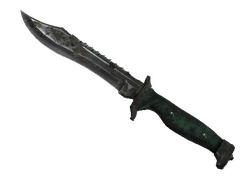 ★ Bowie Knife | Boreal Forest