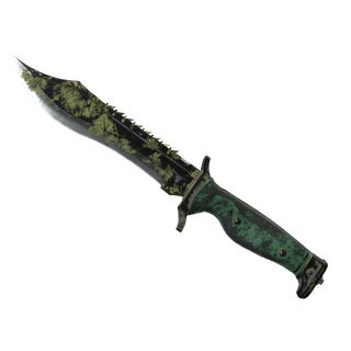 ★ Bowie Knife | Boreal Forest (Battle-Scarred)