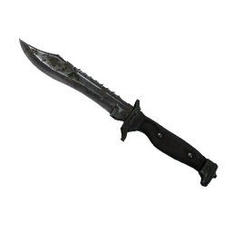 free cs2 skins ★ Bowie Knife | Forest DDPAT (Battle-Scarred)