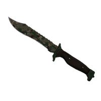 ★ Bowie Knife | Forest DDPAT (Field-Tested)