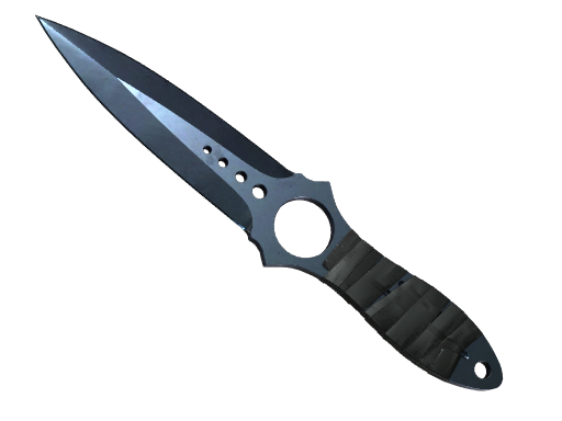 ★ StatTrak™ Skeleton Knife | Blue Steel (Well-Worn)