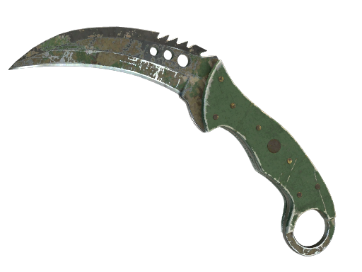 ★ StatTrak™ Talon Knife | Forest DDPAT (Battle-Scarred)