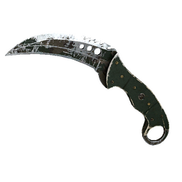 ★ Talon Knife | Forest DDPAT (Battle-Scarred)