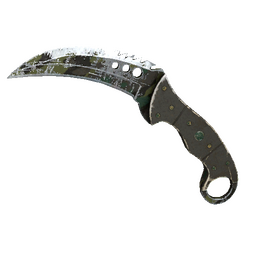 ★ StatTrak™ Talon Knife | Boreal Forest (Battle-Scarred)