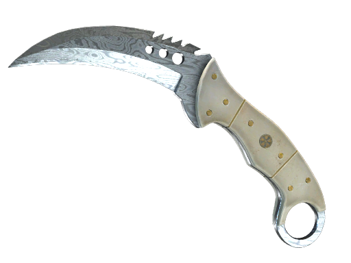 ★ StatTrak™ Talon Knife | Damascus Steel (Factory New)