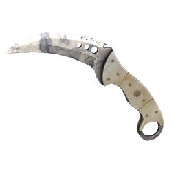 ★ StatTrak™ Talon Knife | Stained (Minimal Wear)