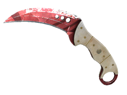 ★ StatTrak Talon Knife | Slaughter