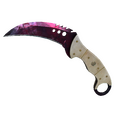 ★ Talon Knife | Doppler Phase 2 (Factory New)