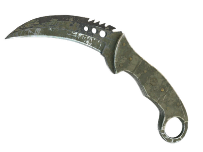 ★ StatTrak™ Talon Knife | Safari Mesh