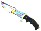 ★ Huntsman Knife | Case Hardened