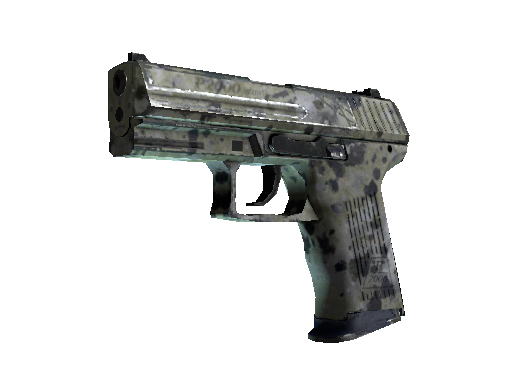 Souvenir P2000 | Granite Marbleized (Well-Worn)