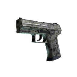 P2000 | Granite Marbleized (Well-Worn)