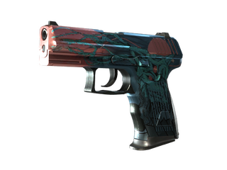 P2000 | Gnarled
