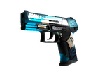 P2000 | Handgun