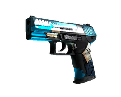 P2000 | Handgun