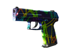 P2000 | Acid Etched