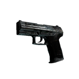 P2000 | Panther Camo (Battle-Scarred)