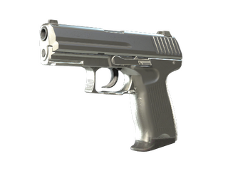 P2000 | Silver