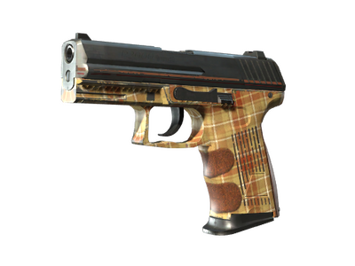 P2000 | Klasa ekonomiczna