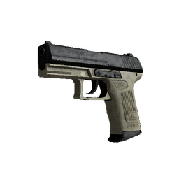 P2000 | Ivory (Battle-Scarred)