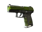 P2000 | Turf (Battle-Scarred)