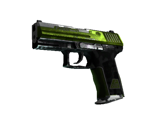 P2000 | Turf (Battle-Scarred)