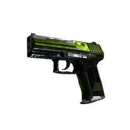 P2000 | Turf (Battle-Scarred)