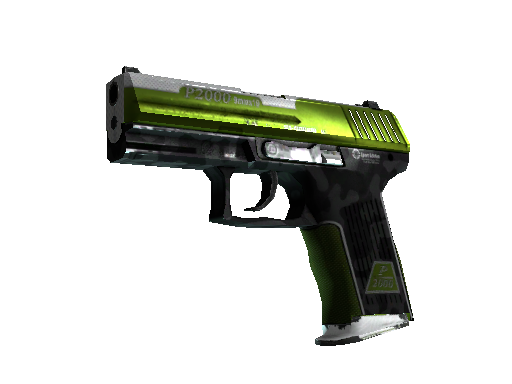 P2000 | Turf (Battle-Scarred)