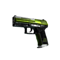 P2000 | Turf (Well-Worn)