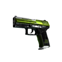 free csgo skin StatTrak™ P2000 | Turf (Well-Worn)