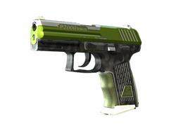 StatTrak P2000 | Turf