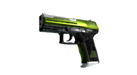 P2000 | Turf (Minimal Wear)