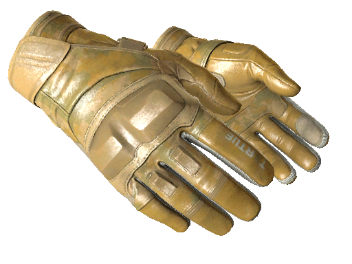 ★ Moto Gloves | Transport (Minimal Wear)