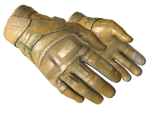 ★ Moto Gloves | Transport