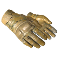 ★ Moto Gloves | Transport (Well-Worn)