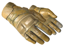 ★ Moto Gloves | Transport (Battle-Scarred)